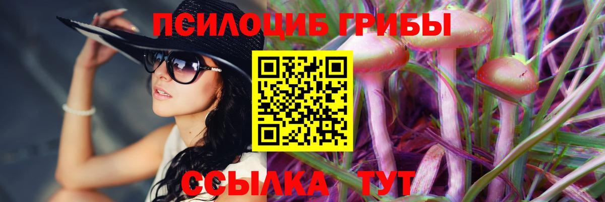 Галлюциногенные грибы мицелий Выкса